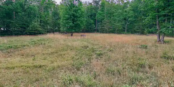 Lot ##1 Johns Creek Mountain RD