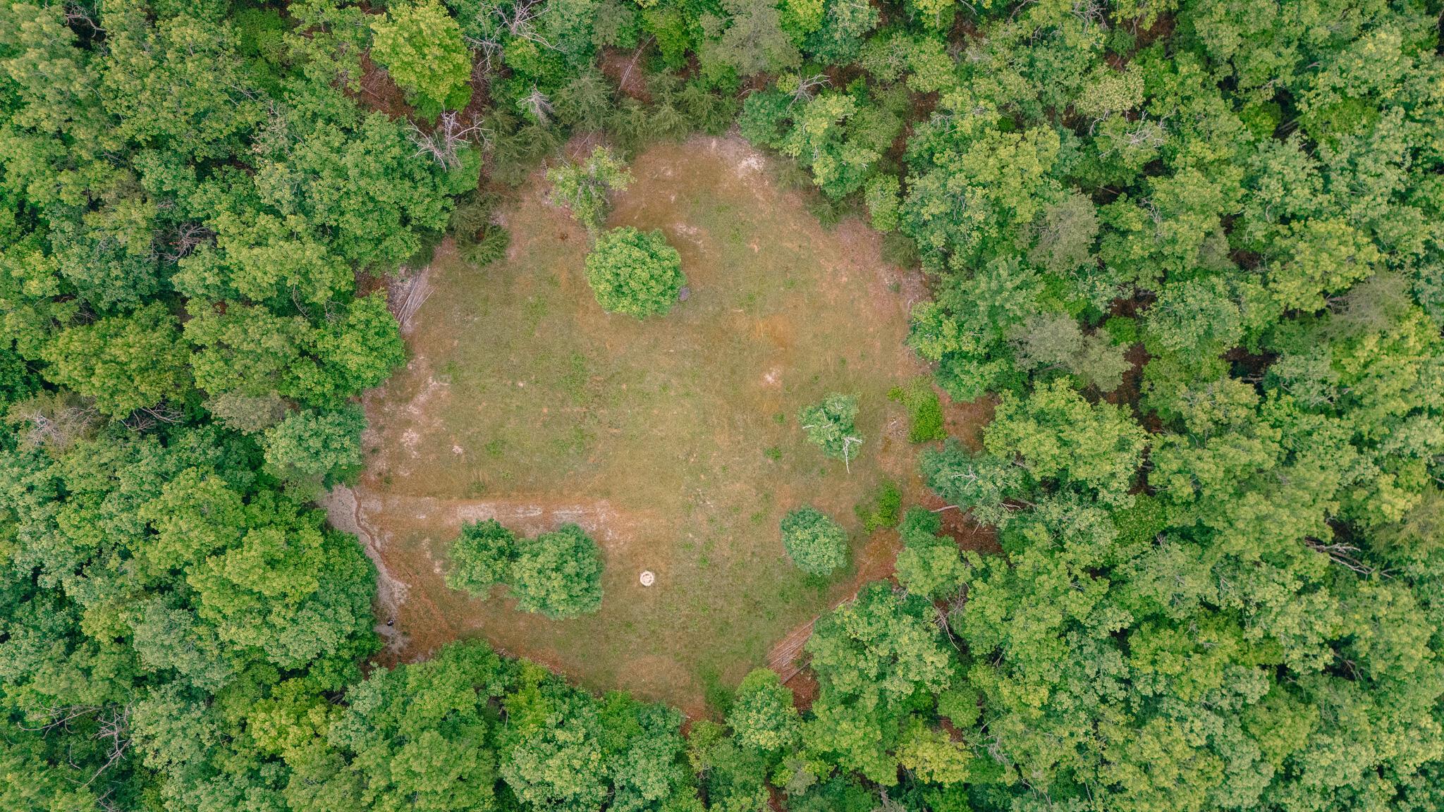 Image 3: Robinson 6