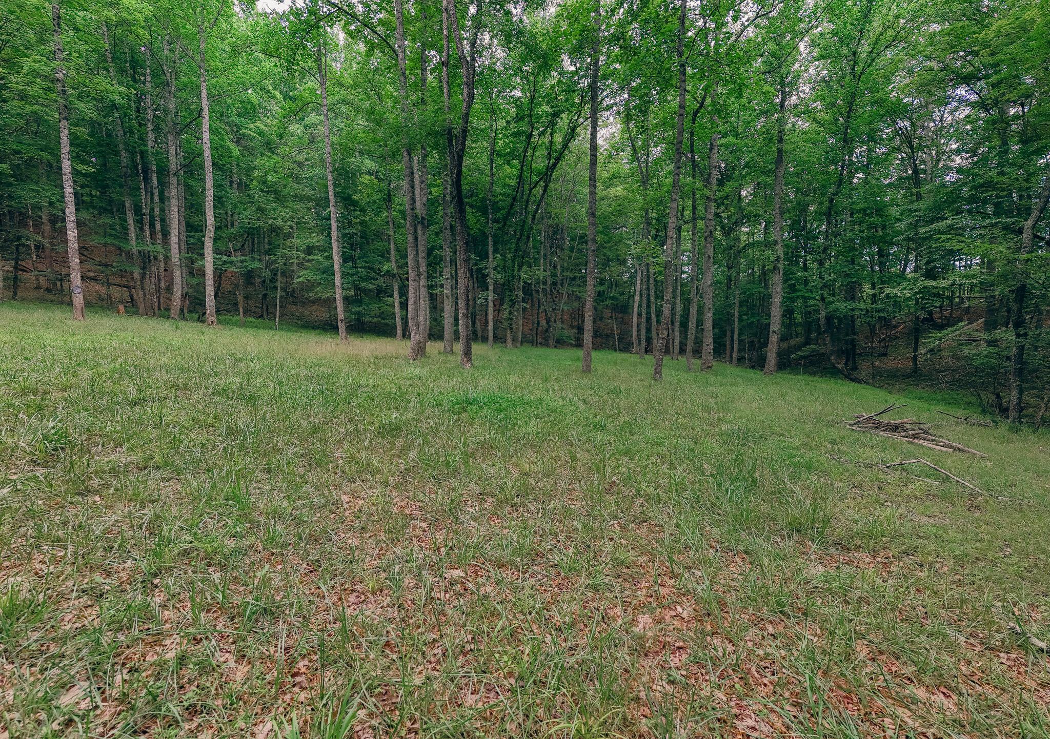 Image 4: Robinson 7