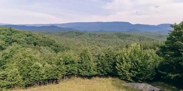 26-62B Sugar Tree Hollow RD
