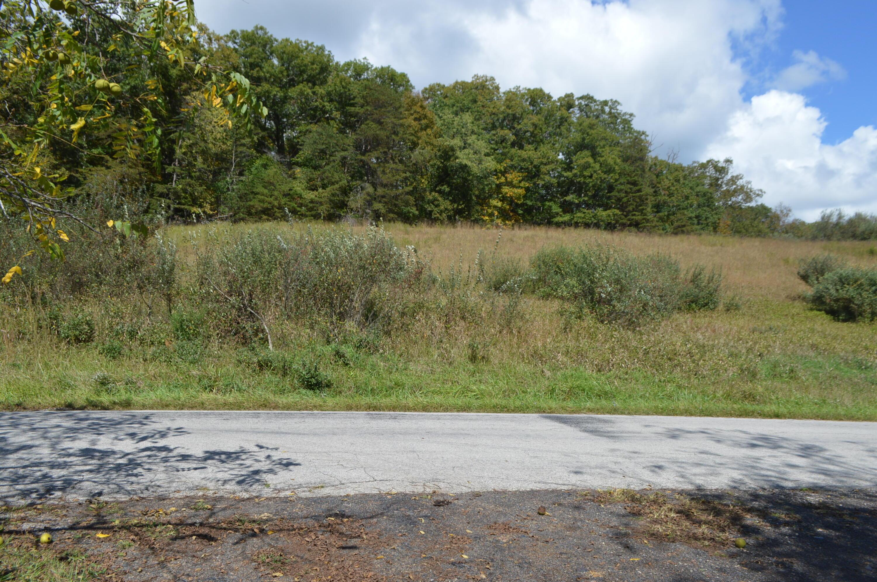 Image 2: DSC_1553 - Copy