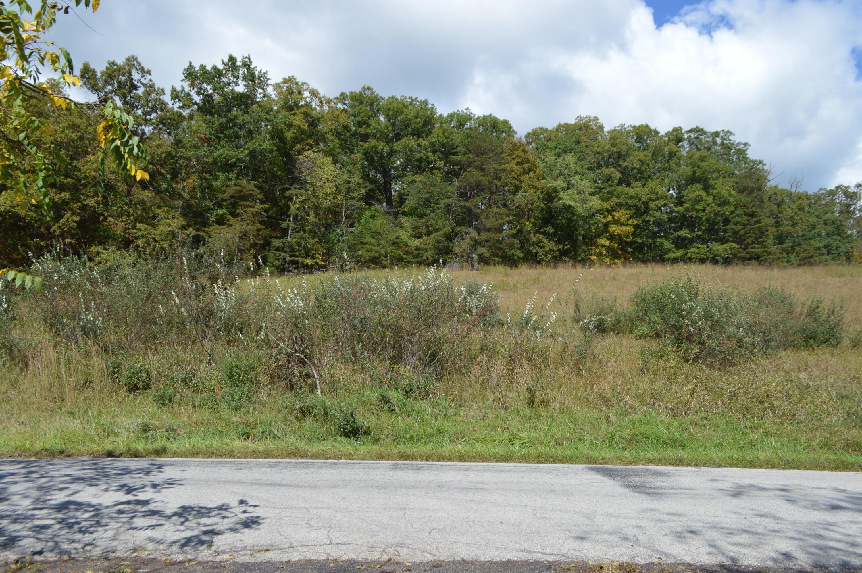 Image 3: DSC_1554 - Copy