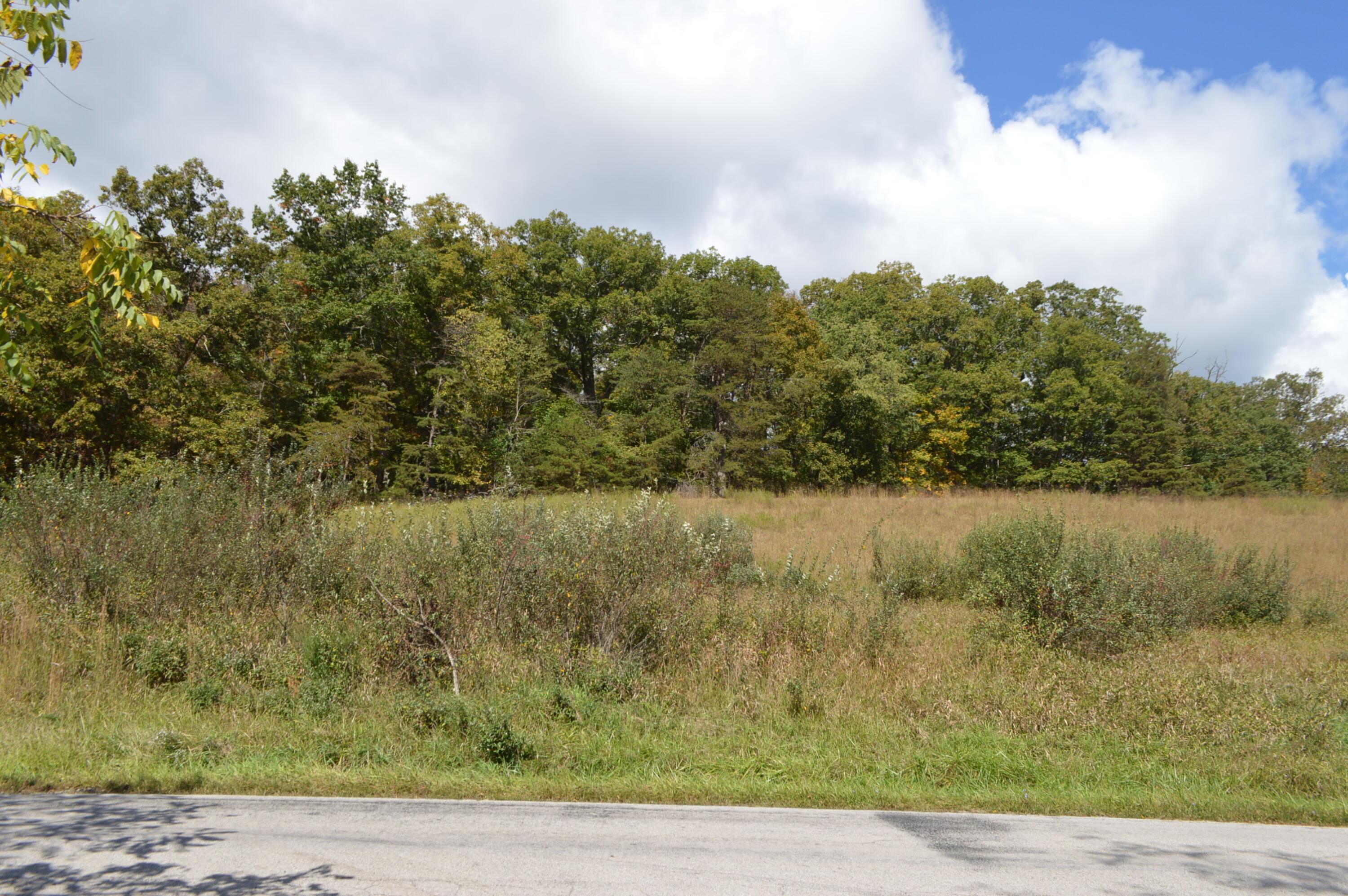 Image 4: DSC_1555 - Copy