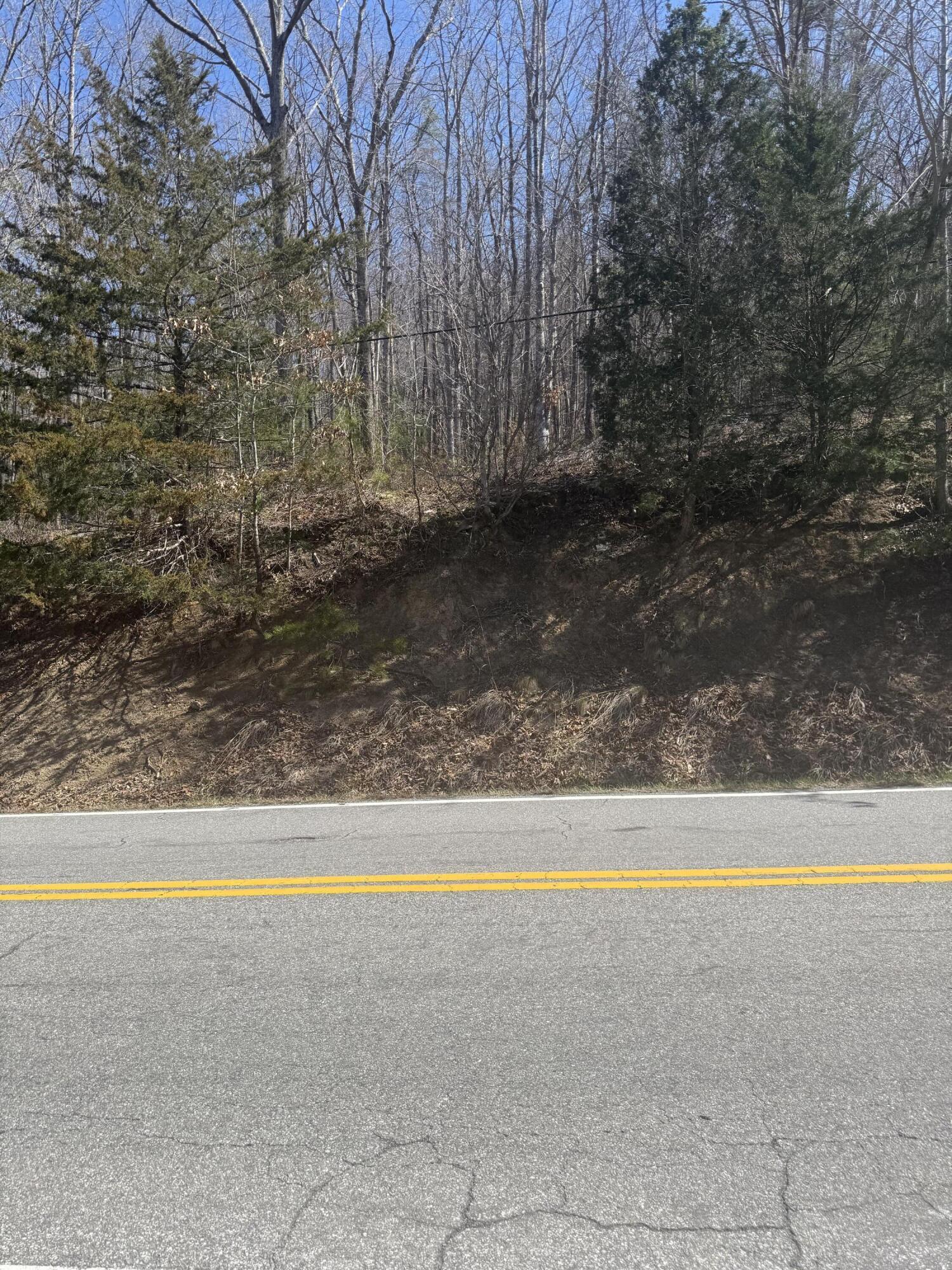 Image 3: IMG_2019