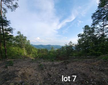 3031 Reese Mountain RD