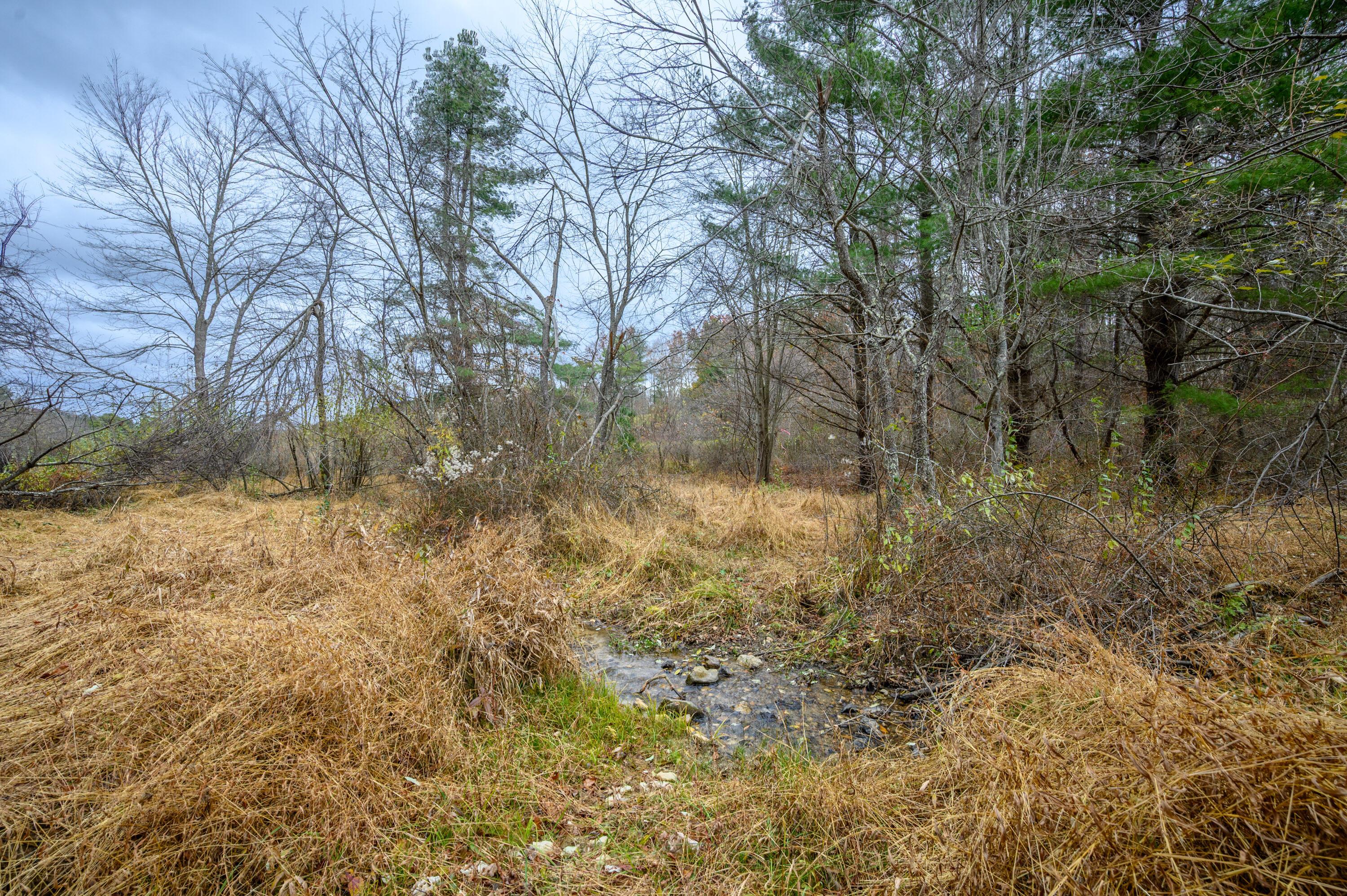 Image 4: 4
