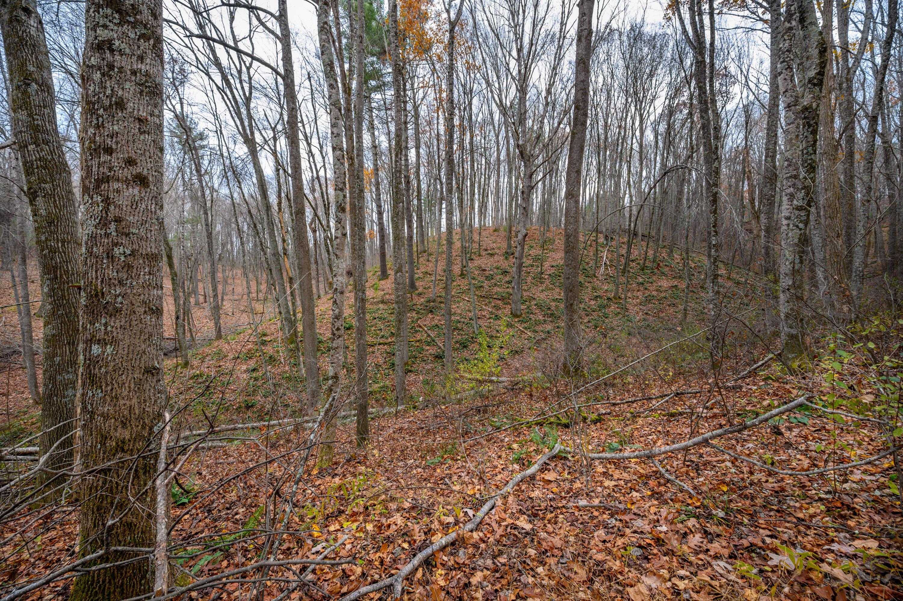 Image 4: 4