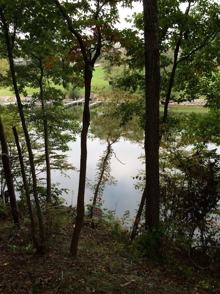 Image 2: waterside pic 4