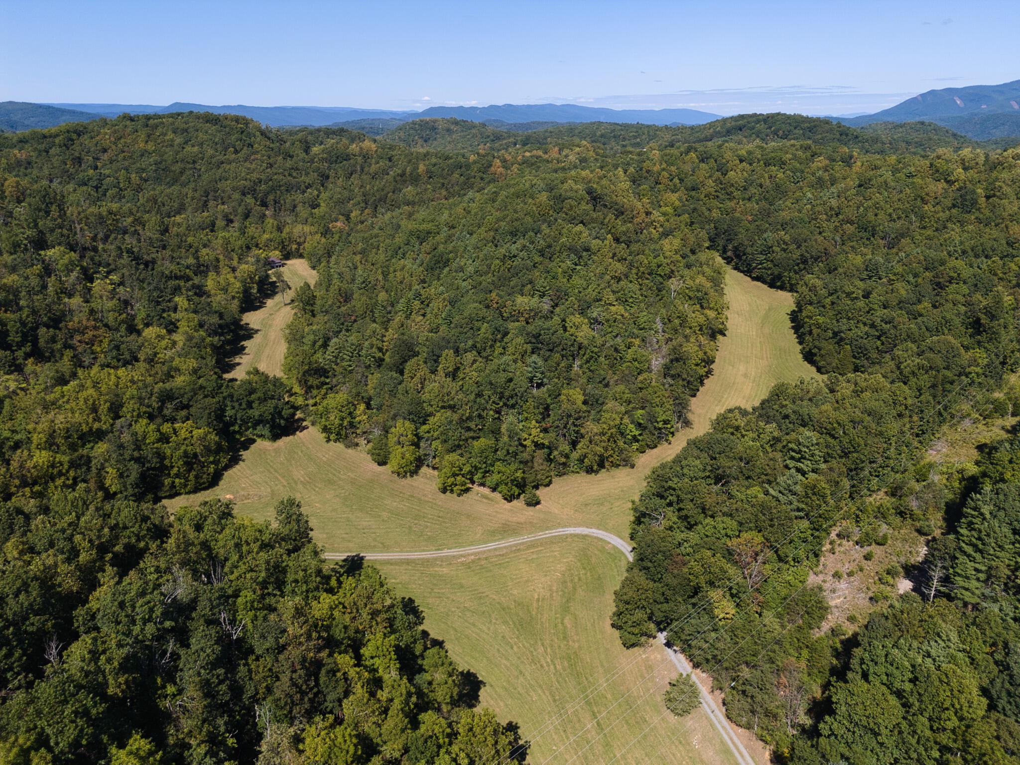 Image 4: DJI_20250910150450_0140_D