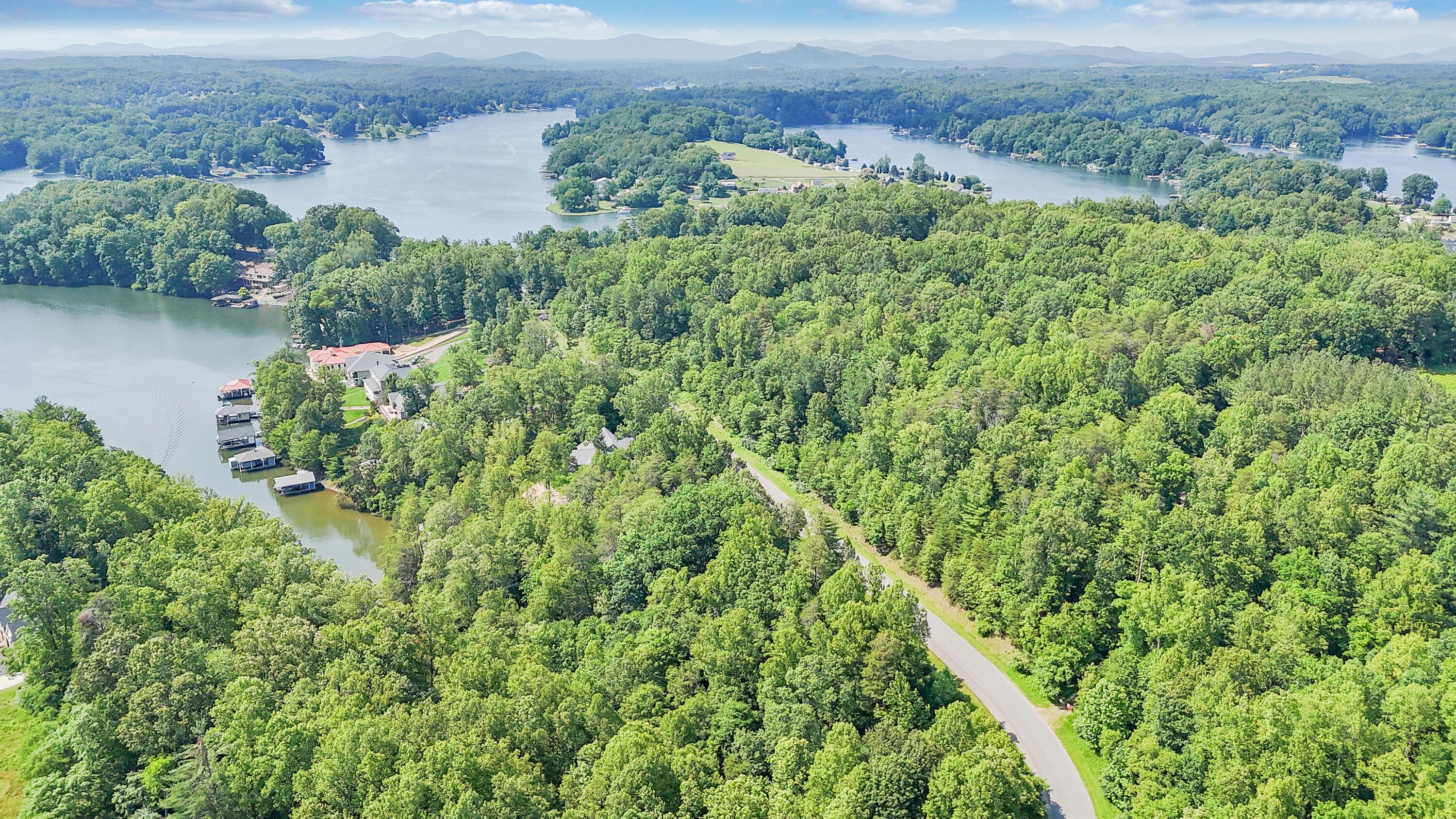 Image 4: 03-DJI_20250603154921_0066_D
