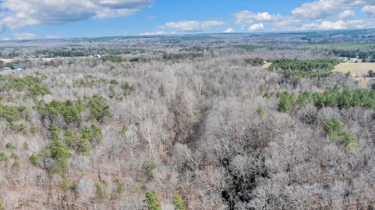Image 4: 66-DJI_20260312030301_0312_D