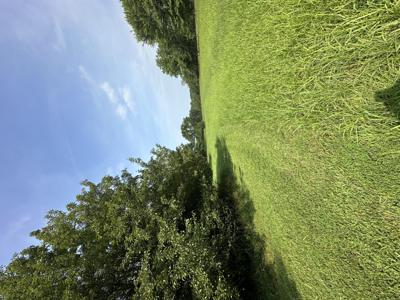 Morgans Mill RD