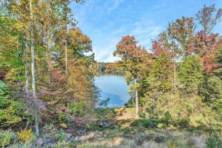 Lot 74 Coves RD
