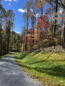 Little Catawba Creek RD