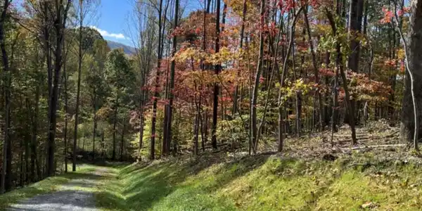 Little Catawba Creek RD