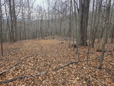 Hickory Falls RD