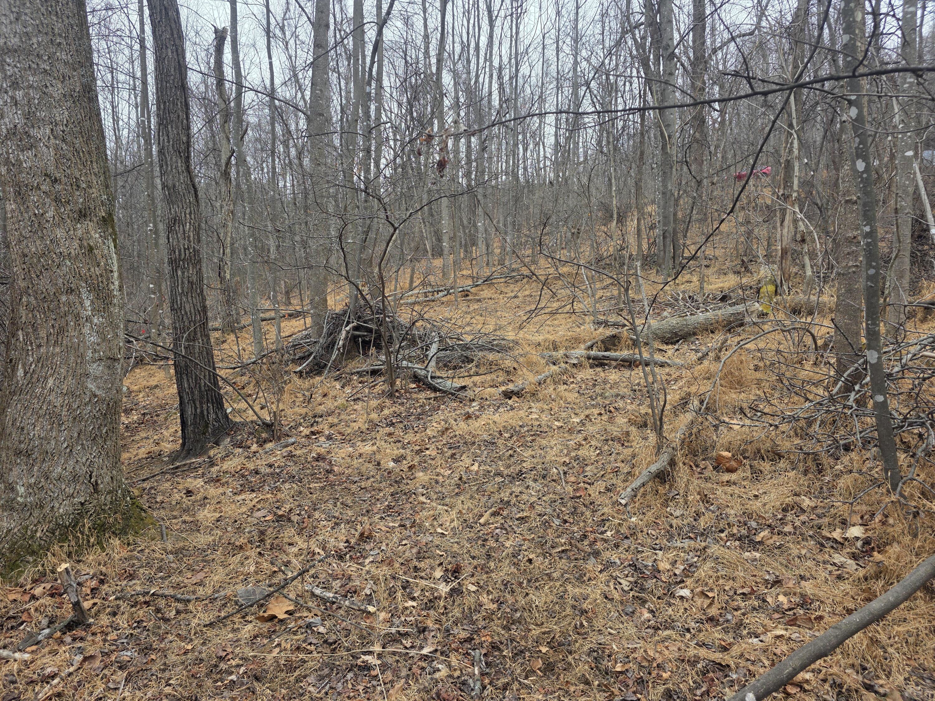 Image 4: 2