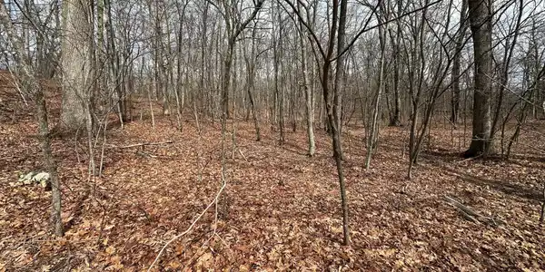 Image 2: 2-Wooded Acreage