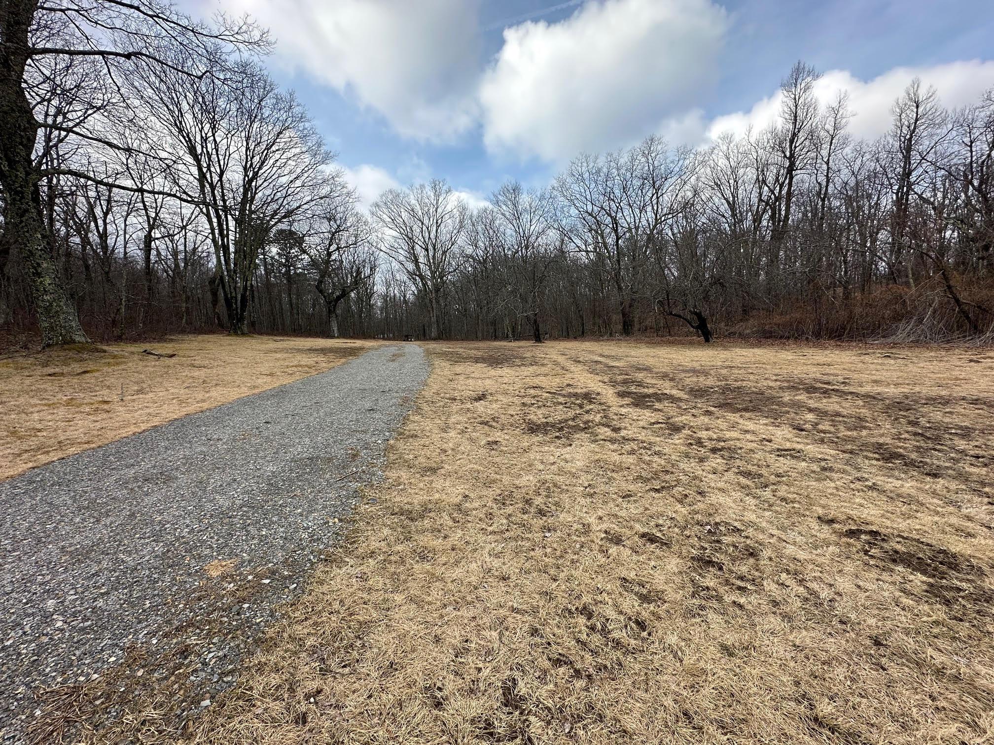 Image 3: 3-Driveway
