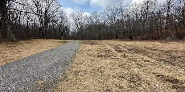Image 3: 3-Driveway