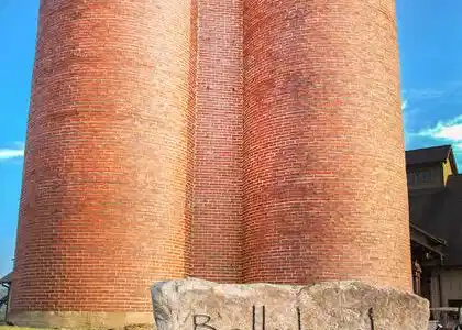 Image 3: 31