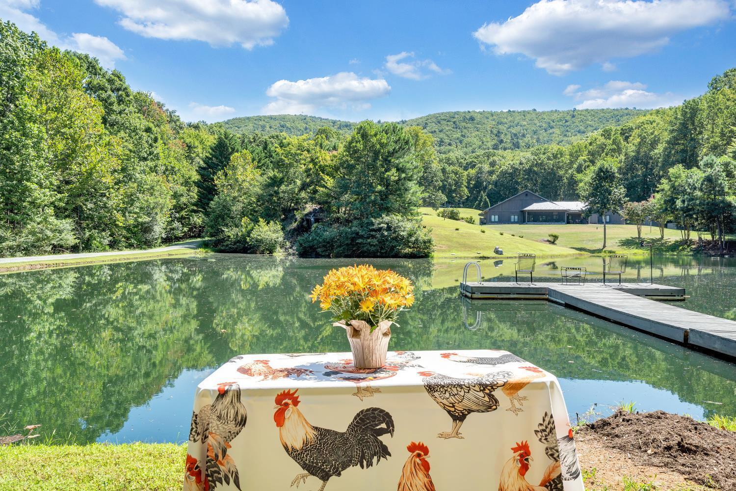 Image 4: Anyone for a picnic?