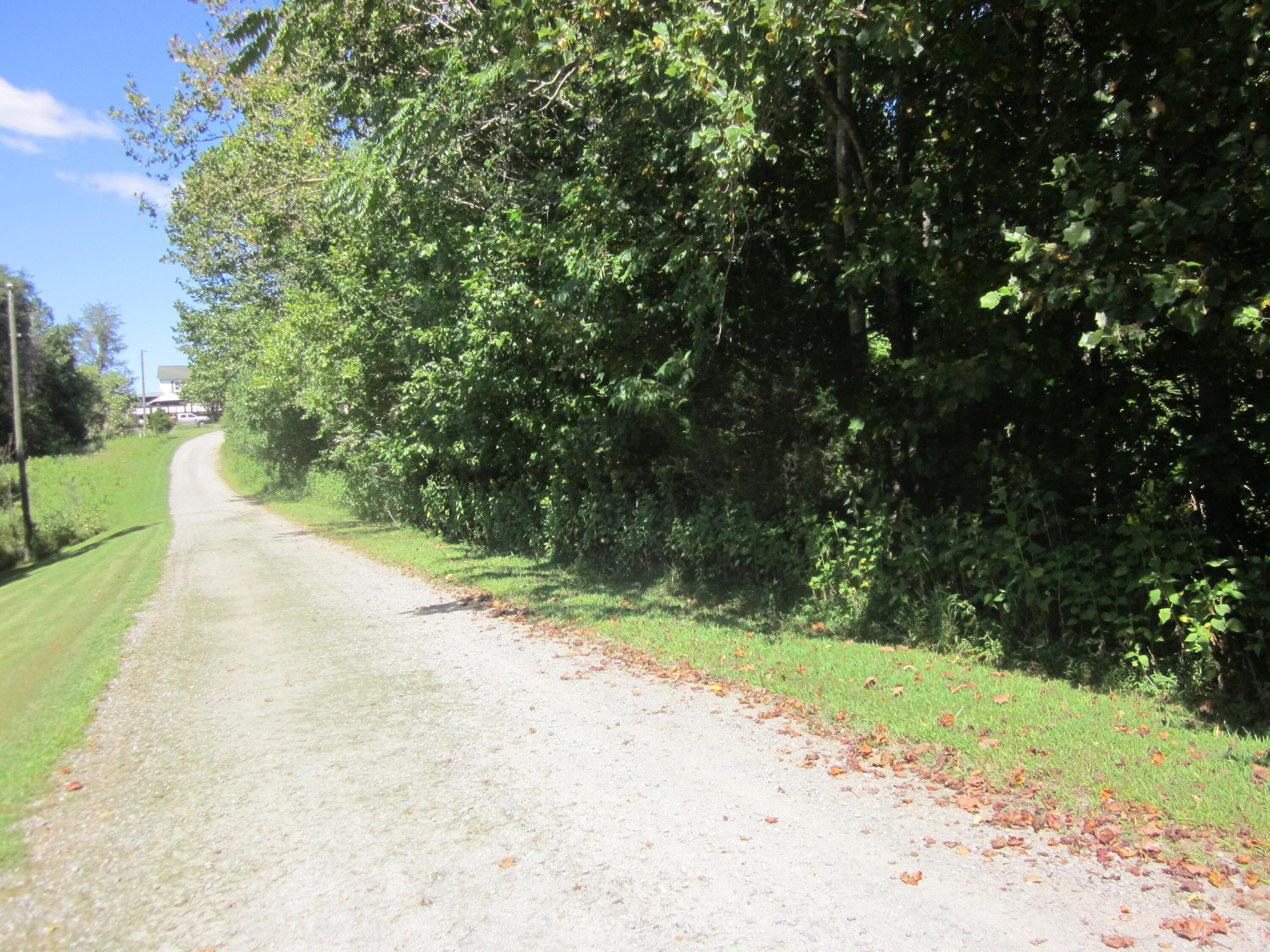 Image 3: IMG_9579