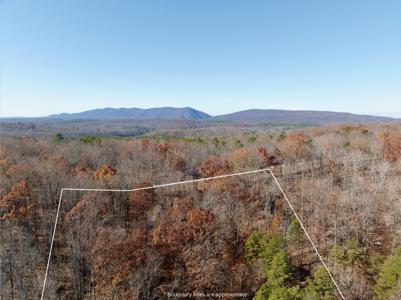 Lot #19 Leesville Lake DR