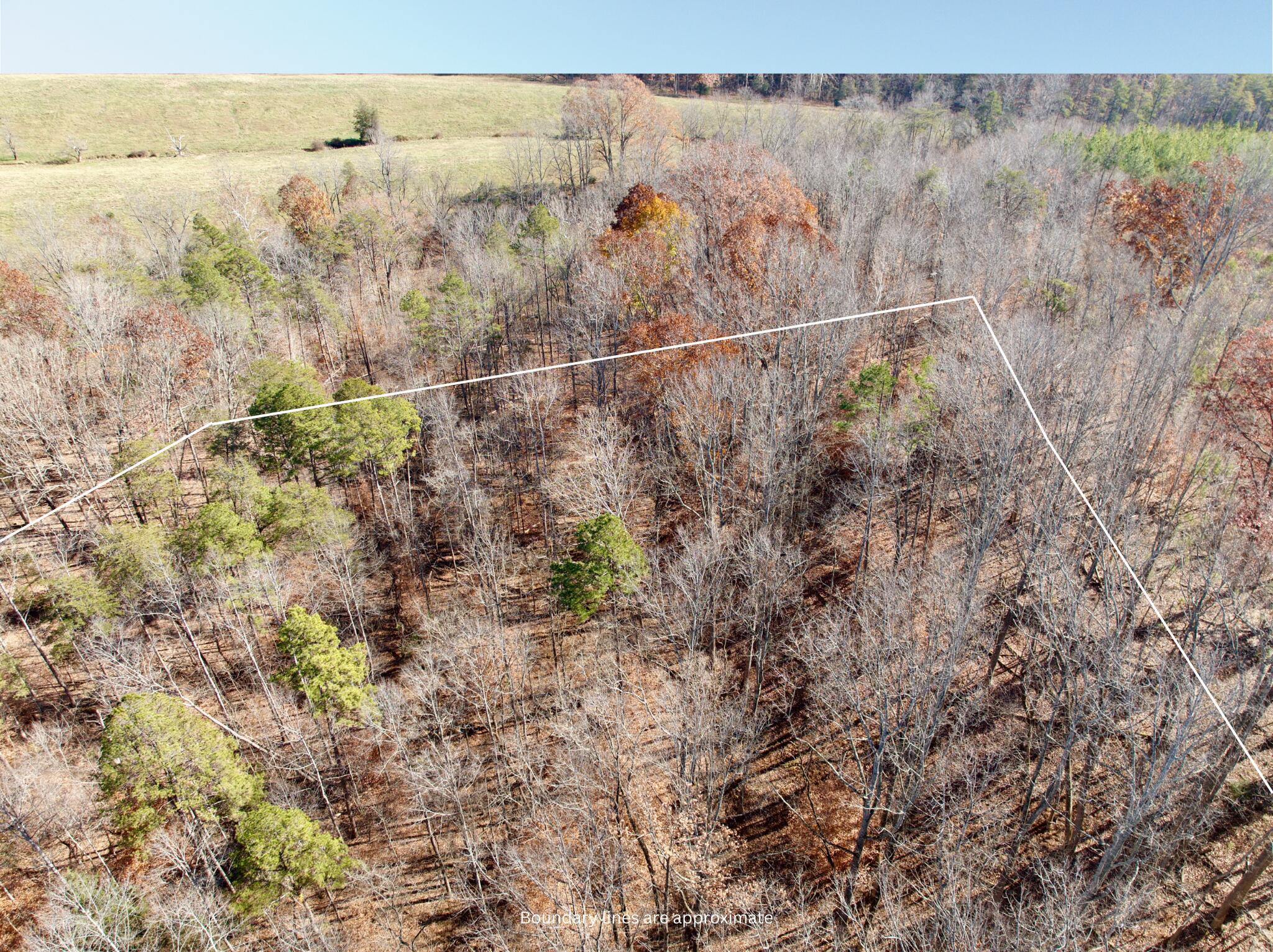 Image 2: Copy of Boundary lines are approximate (