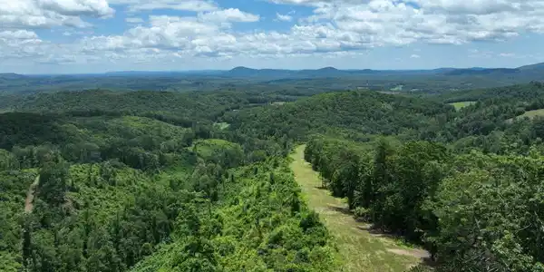 Image 3: Main
