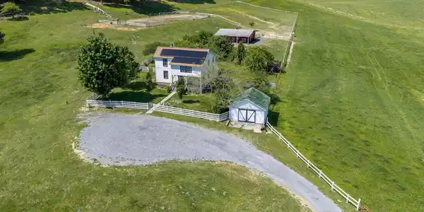 Image 3: 3 75 Margarets