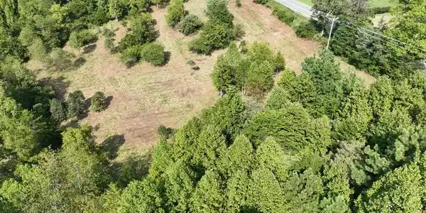 Image 4: 1