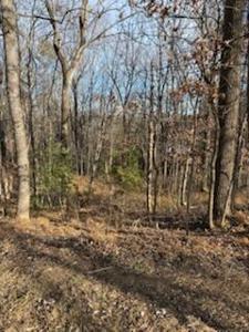 Sunnycrest RD