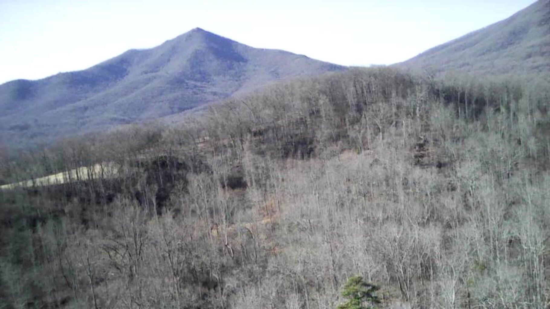 Image 2: Views