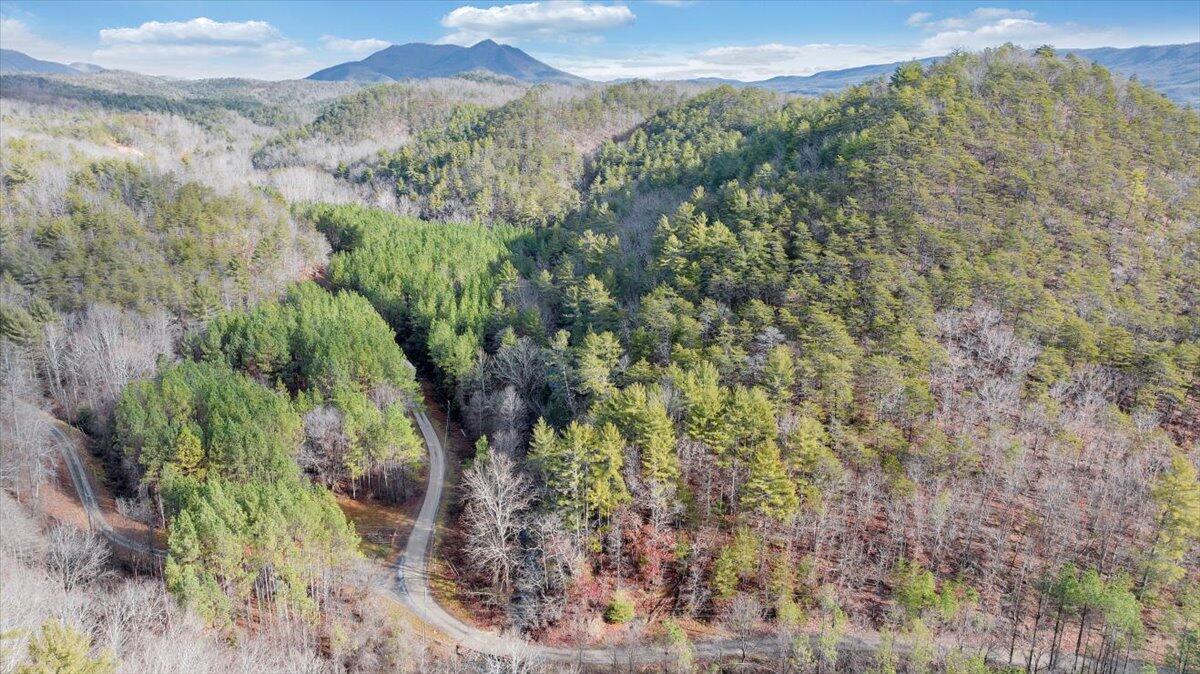 Image 4: 09-DJI_20241219104817_0034_D_MIB