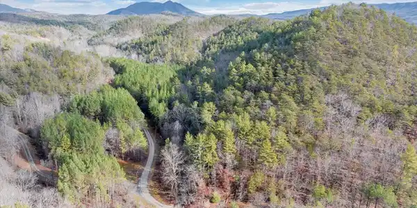 Image 4: 09-DJI_20241219104817_0034_D_MIB