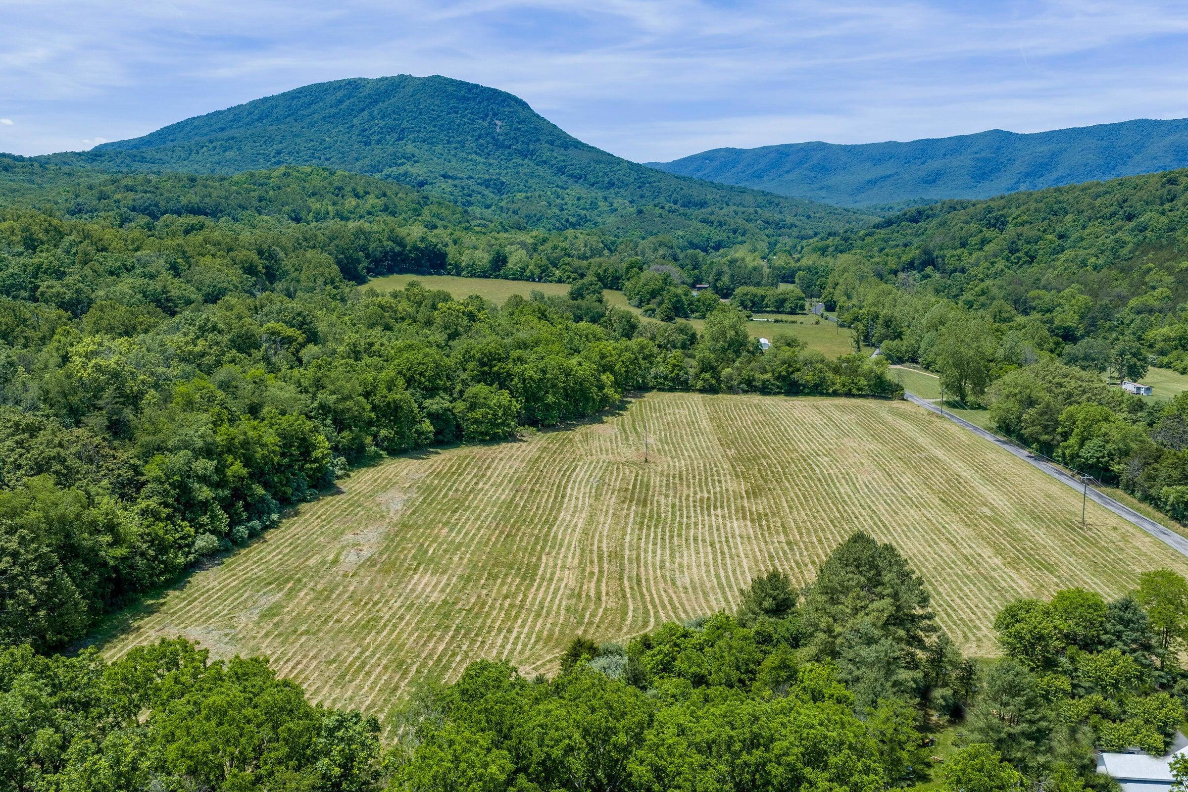 Image 2: 2 TBD Blacks Creek Rd