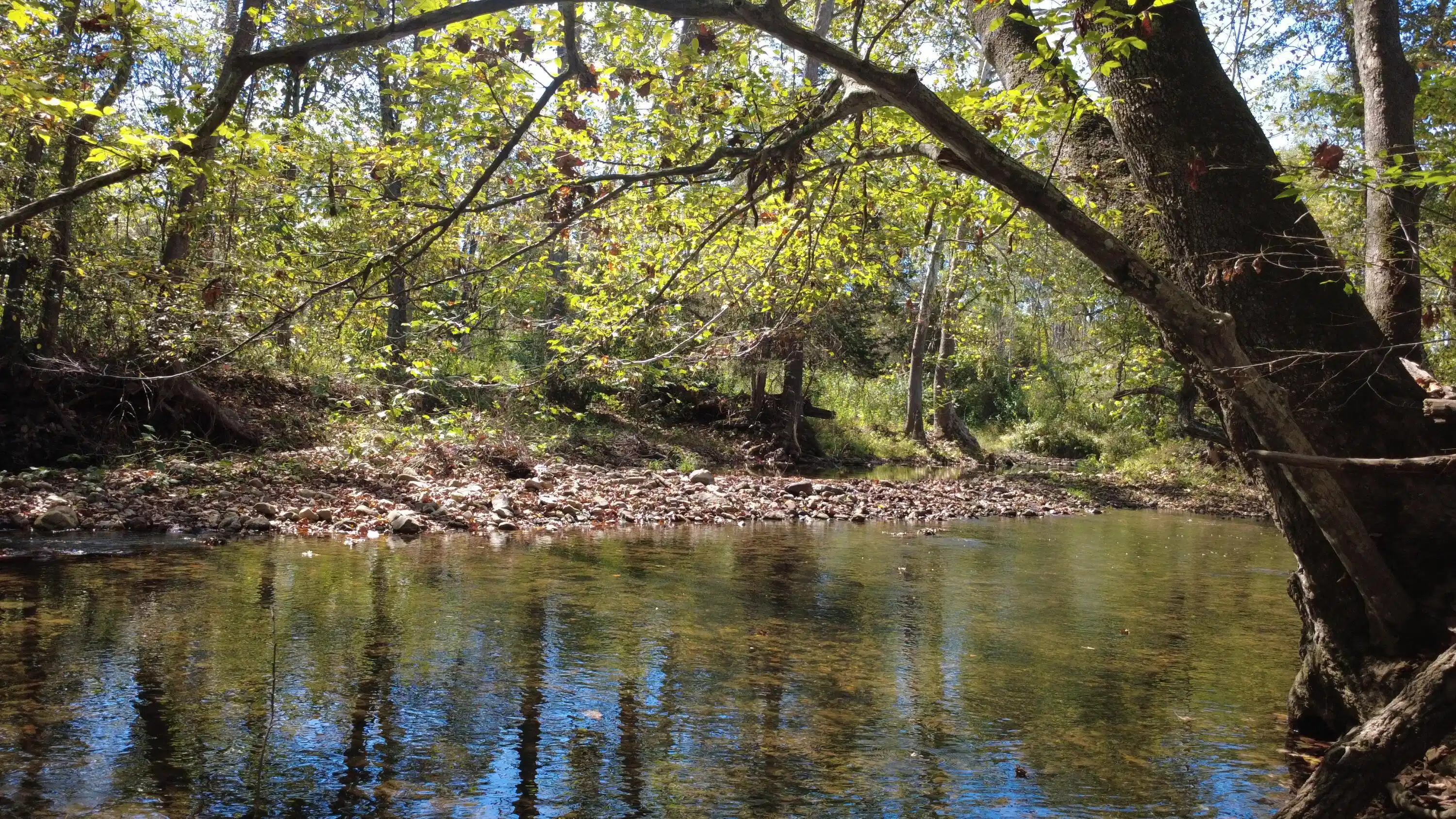 Image 1: Creek View