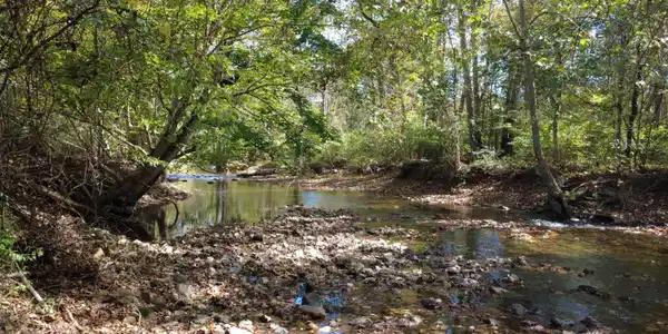 Image 3: creek
