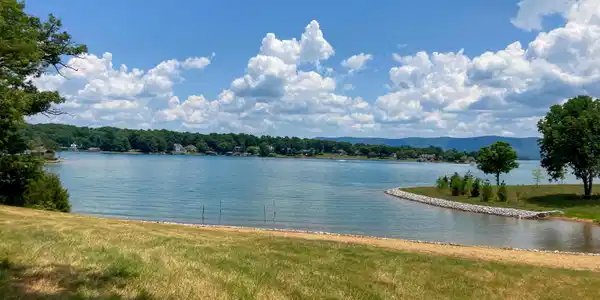 Image 4: View from the Lot