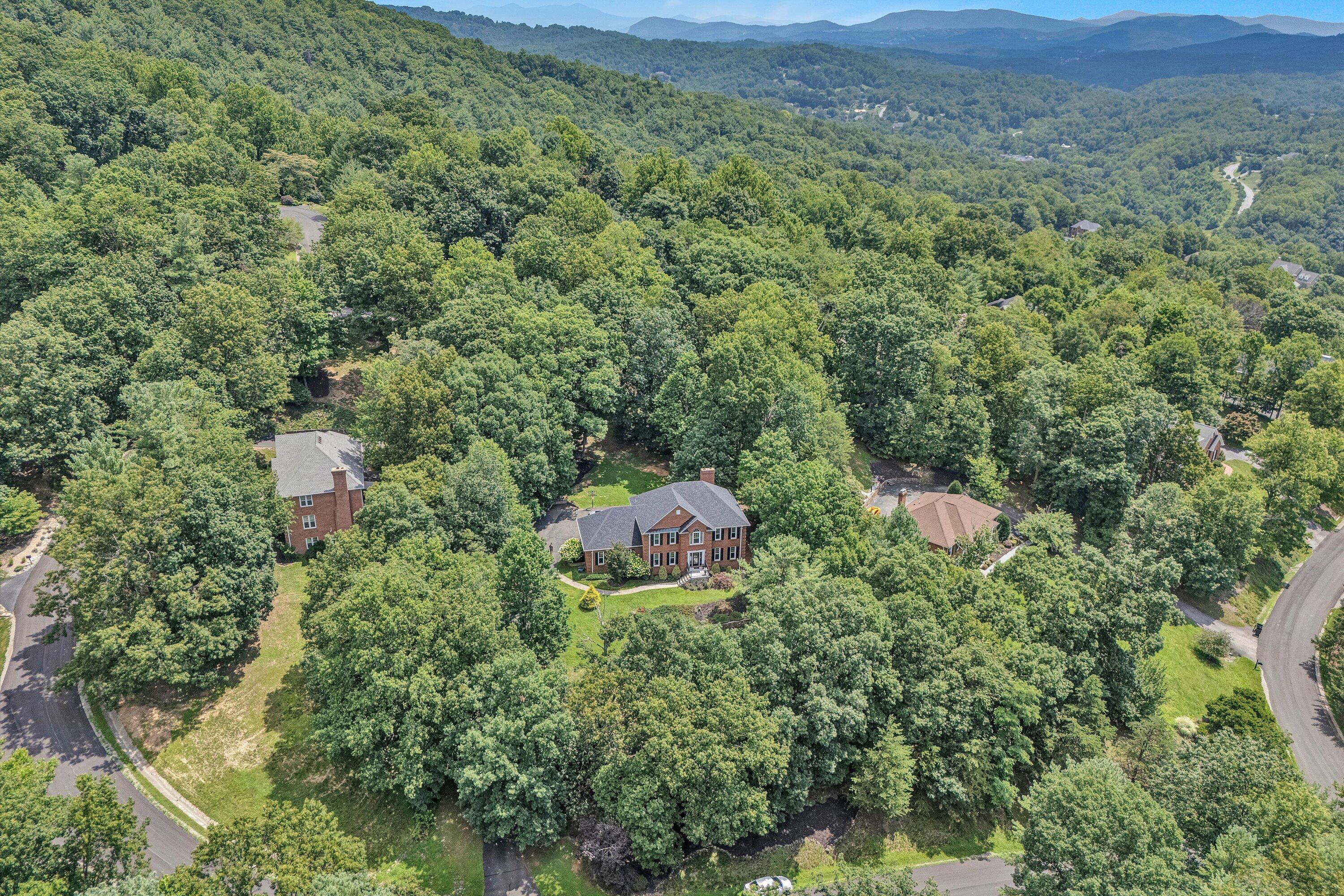 Image 3: 03-DJI_20250709120131_0257