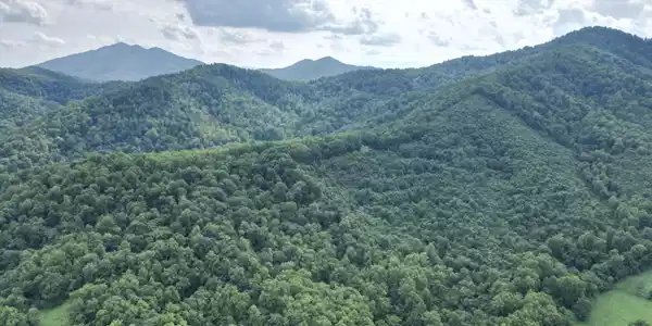 Image 2: dji_fly_20250705_131308_273_175321802459