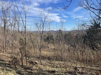 Lot #51A taylors Mountain RD