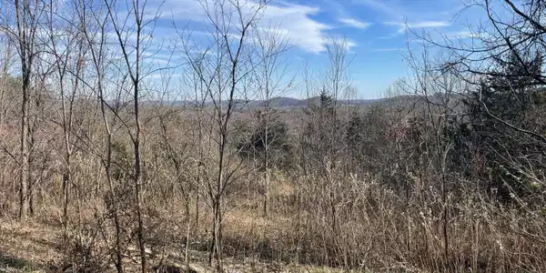 Lot #51A taylors Mountain RD
