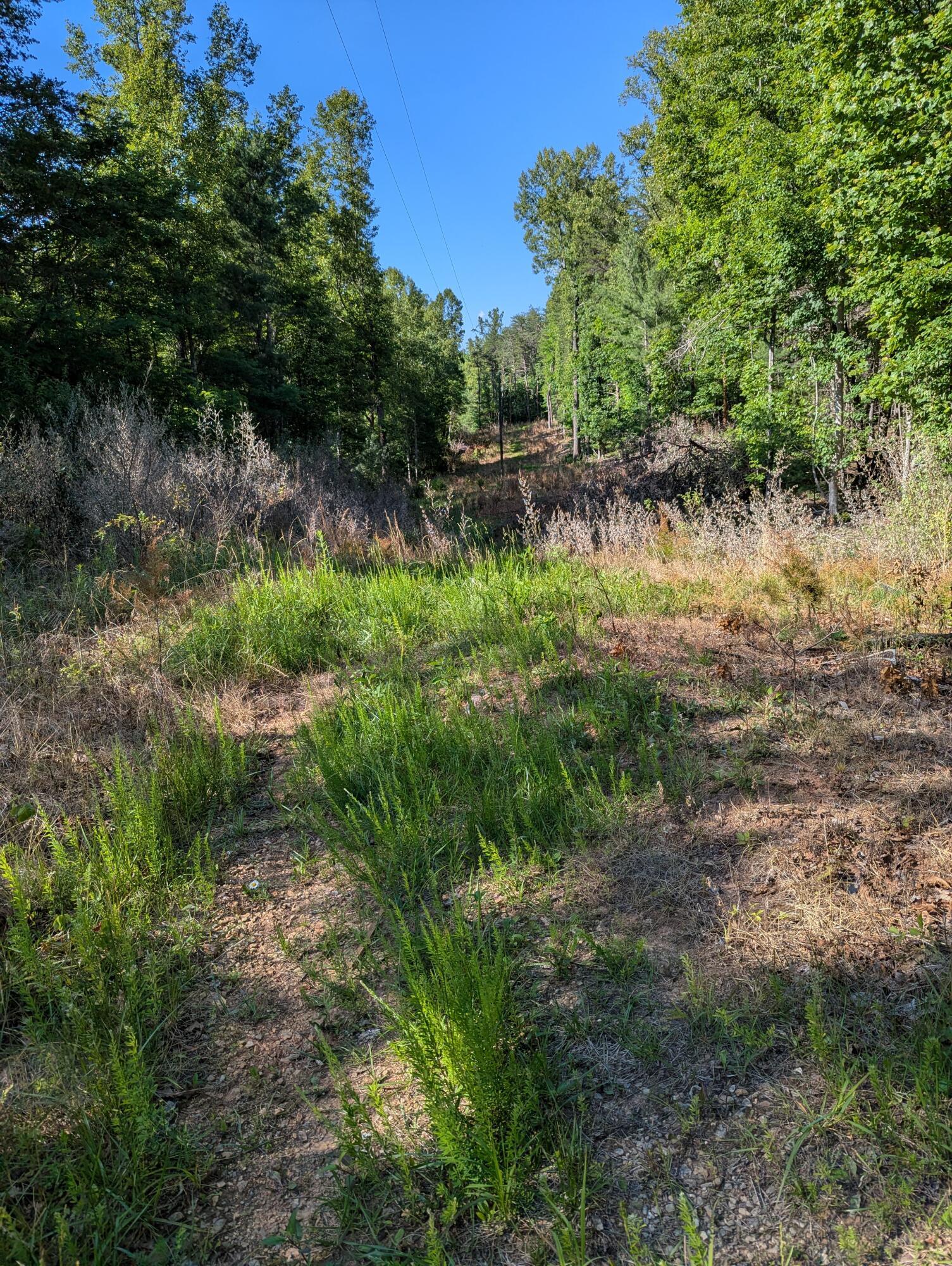 Image 1: 0 Old Forge Rd