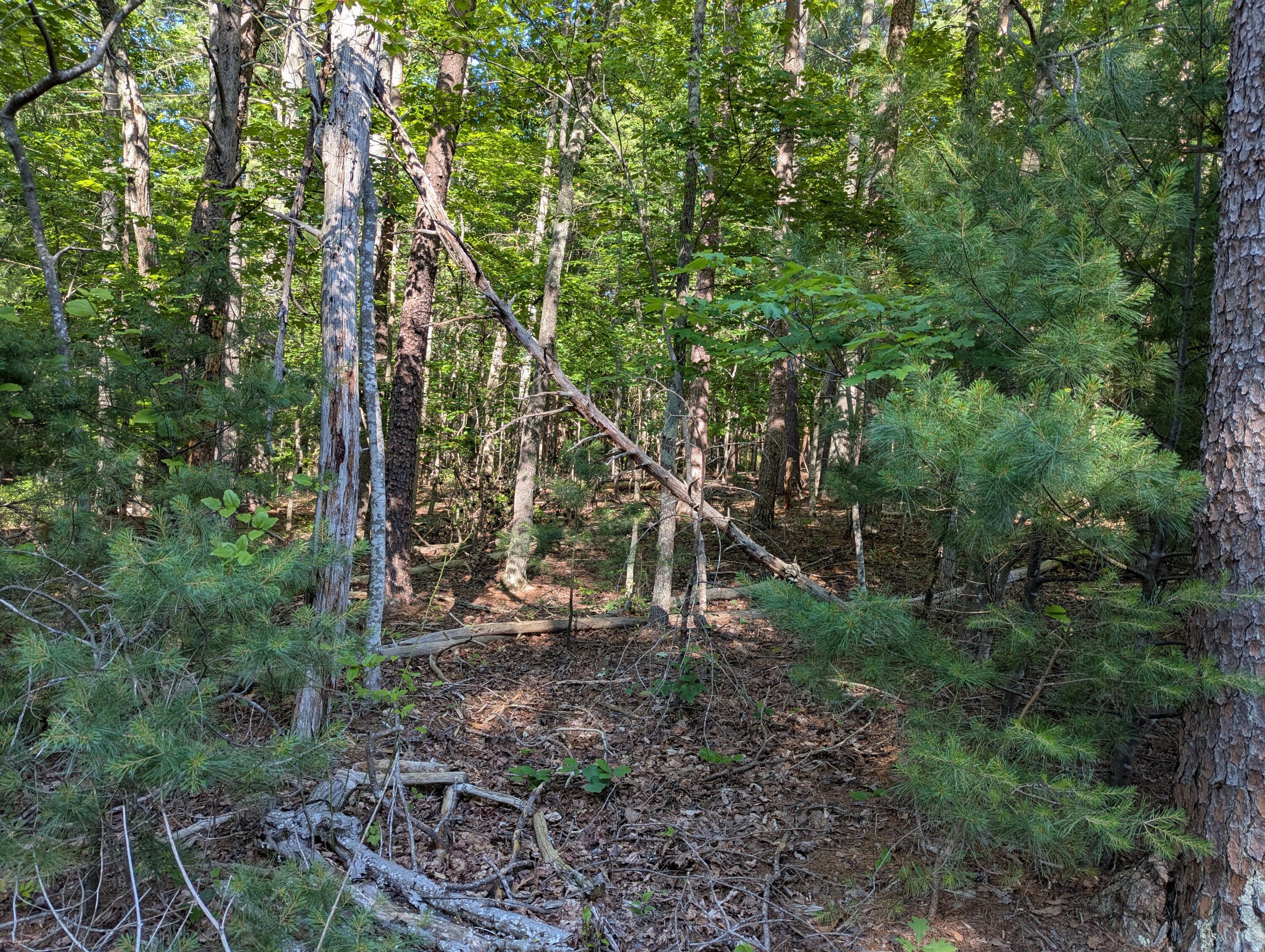 Image 3: 0 Old Forge Rd