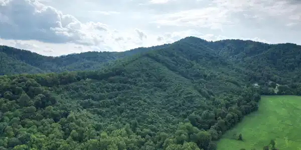 Image 3: dji_fly_20250705_131200_270_175321803393