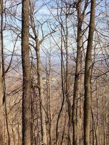 Lot #A&B Bent Mountain RD