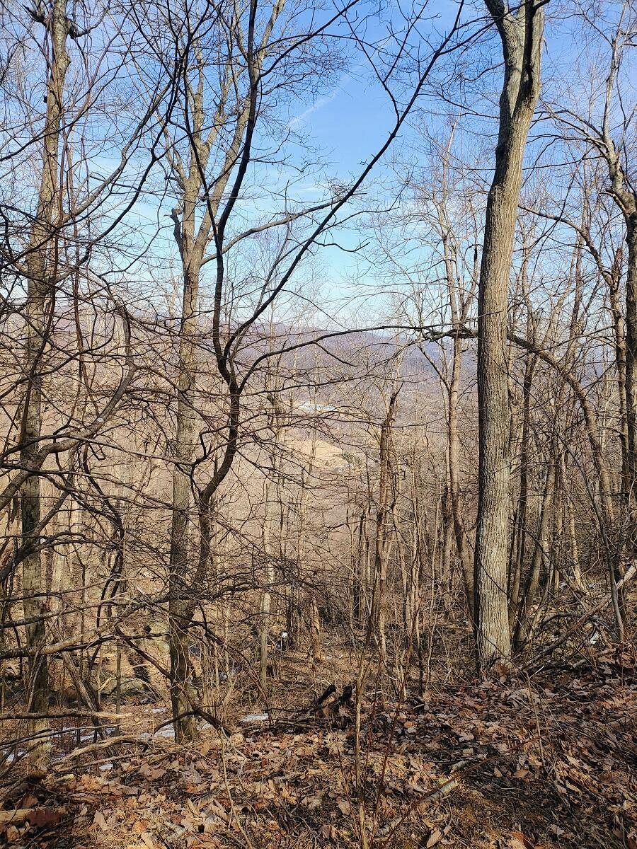Image 4: IMG_20250226_121828290_AE