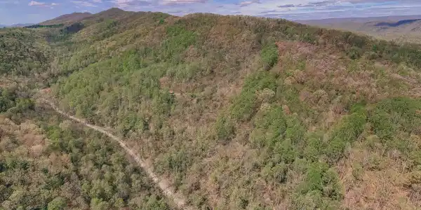 Lot #NA Sugar Tree Hollow RD